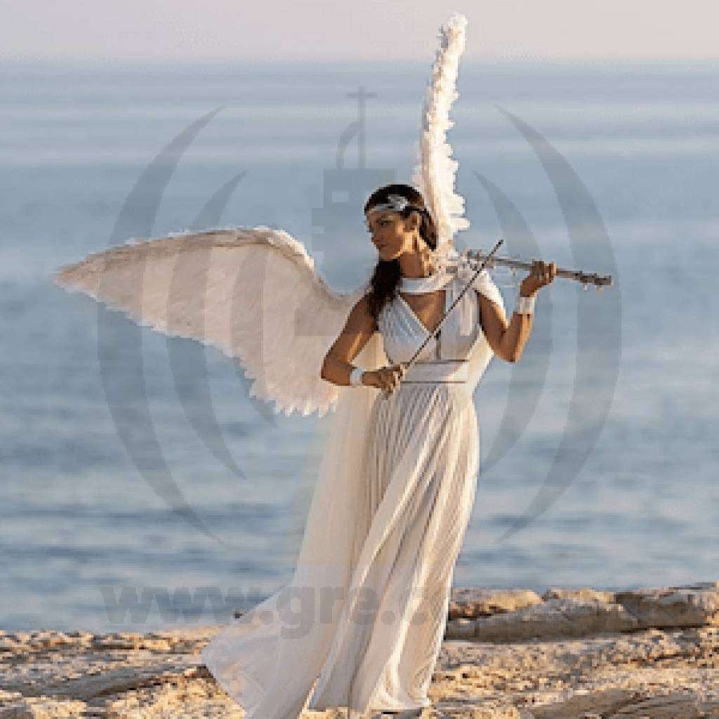 Liaviolin 300