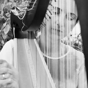 Anna Kulkova Harpist