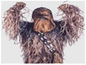 Chewy